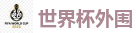 2026美加墨世界杯官网投注平台